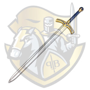 Saberr's Excaliburr Foam swordd